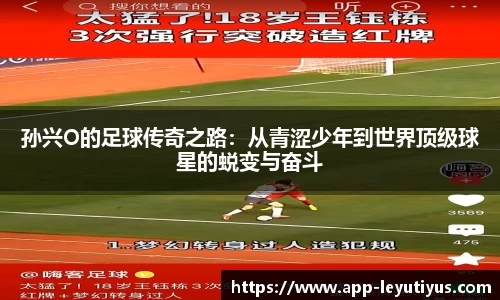 乐鱼体育app